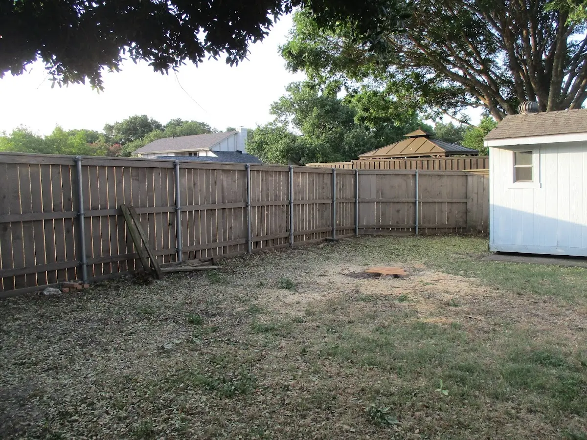 Cleared yard after professional tree removal in Fort Valley
